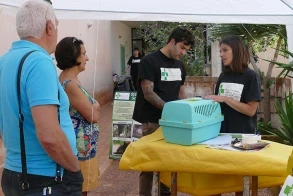 Kastrationsaktion in Casarano (Italien)