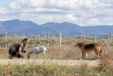 News Report from our neutering campaign in Sandanski, Bulgaria