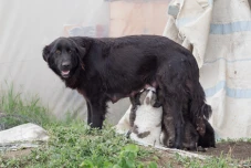 9+6…AND A REMARKABLE MOTHER
