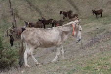 Abschied und Neustart