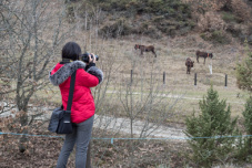 Reportage der bulgarischen Nachrichtenagentur über das Eselprojekt in Banichan, Bulgarien