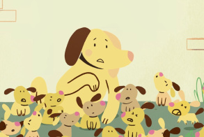 Unser neuer Animationsfilm zum Thema Kastration von Haustieren